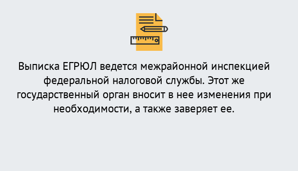 Почему нужно обратиться к нам? Волхов Выписка ЕГРЮЛ в Волхов ?