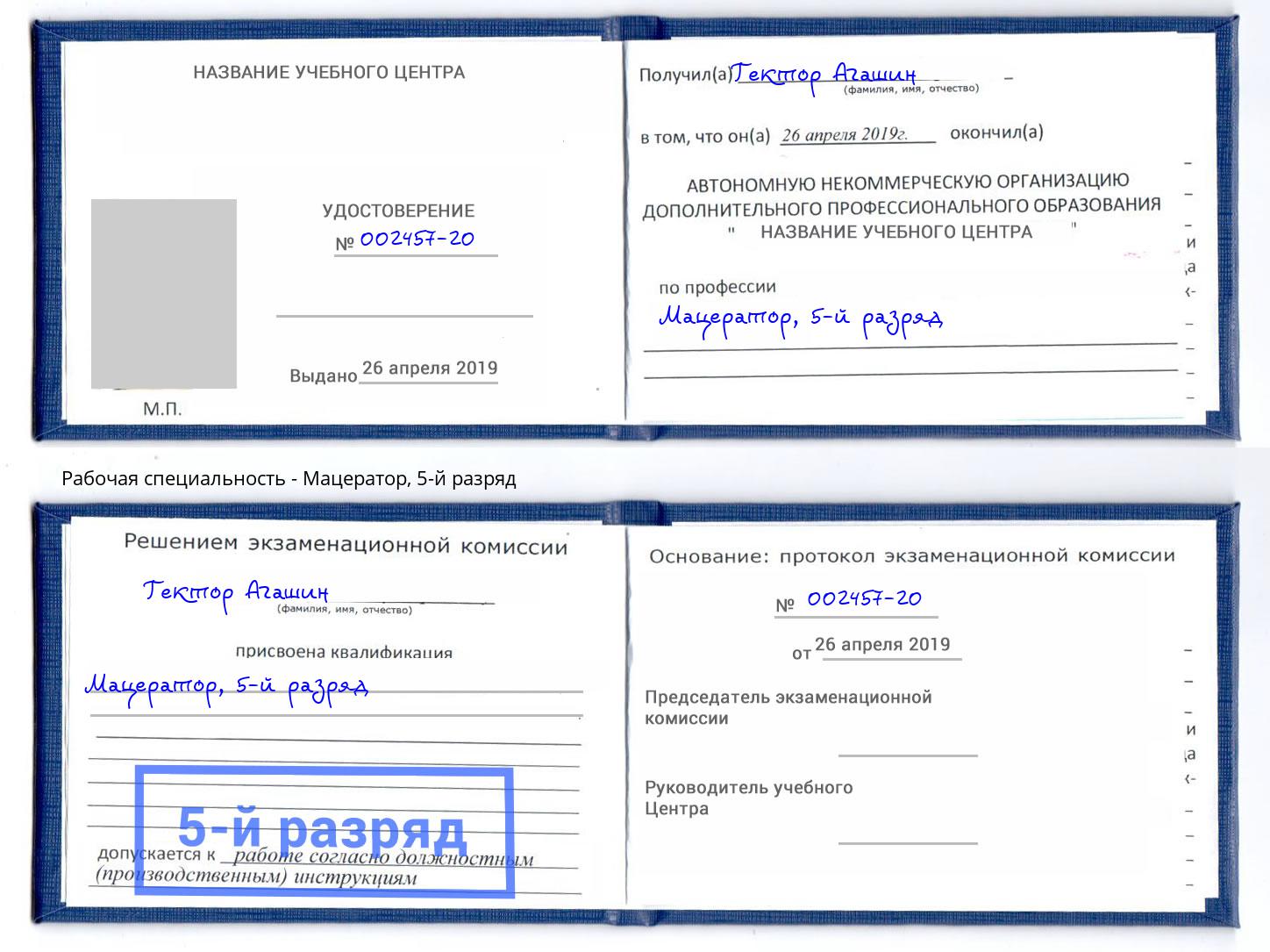 корочка 5-й разряд Мацератор Волхов